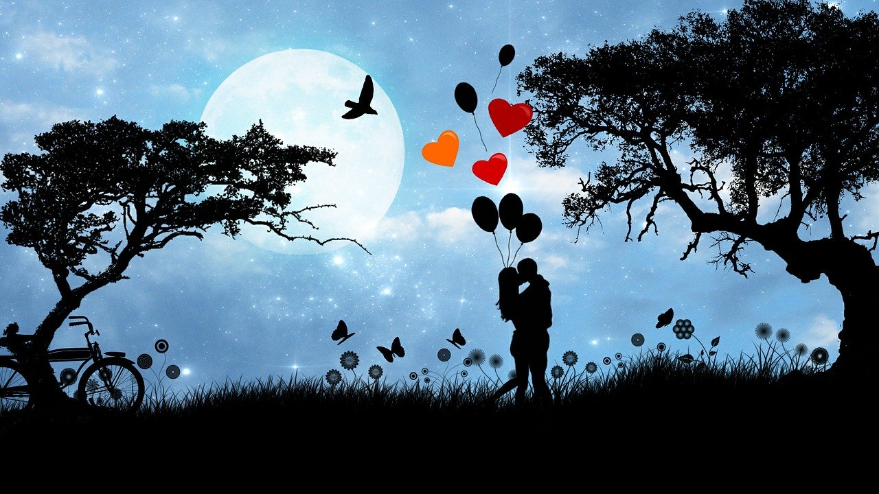 Curious: Is the concept of soulmate flawed?