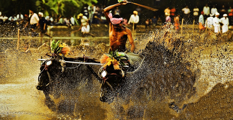 Interesting indian sports