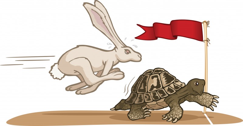 Fast and Steady Wins the Race - MashupCorner